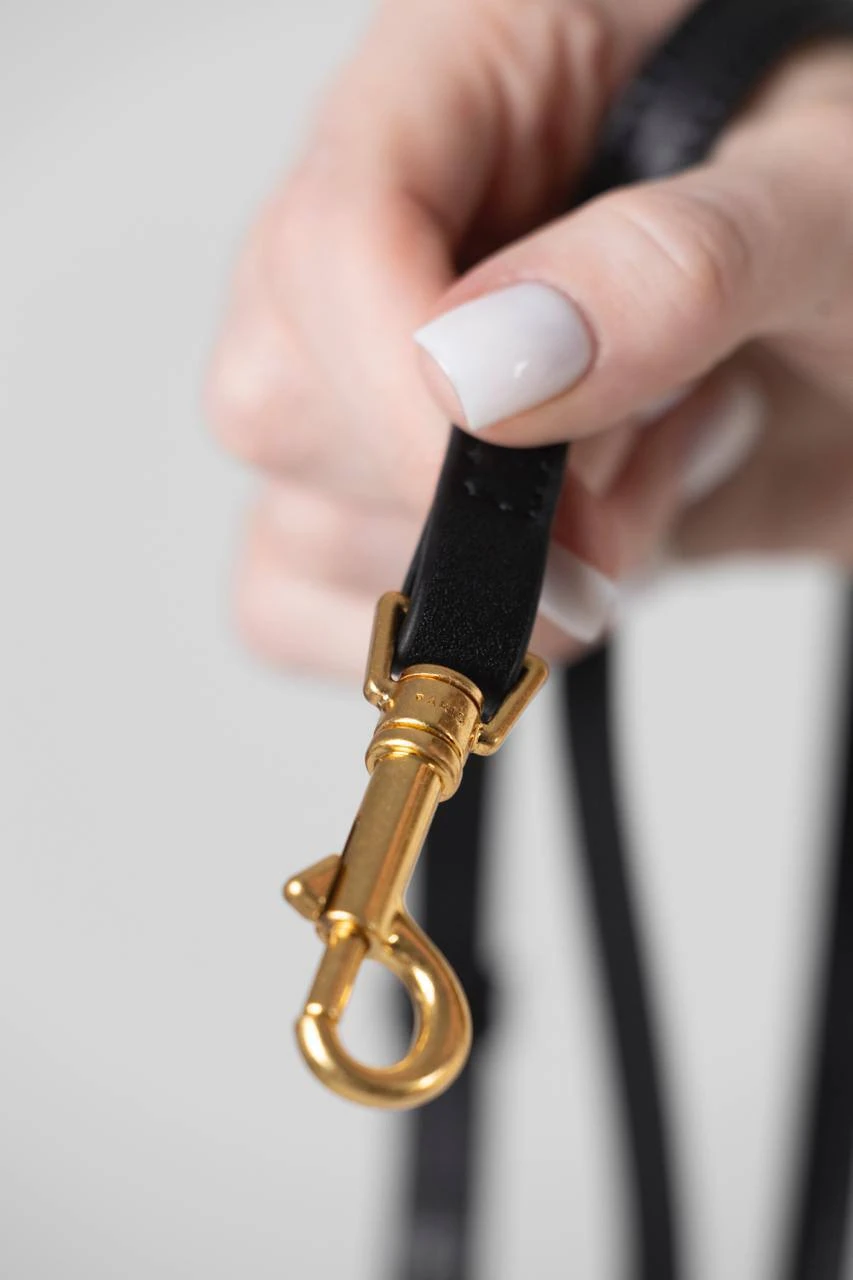 Celine Small Bucket Cuir Triomphe Black/Gold - Зображення 9